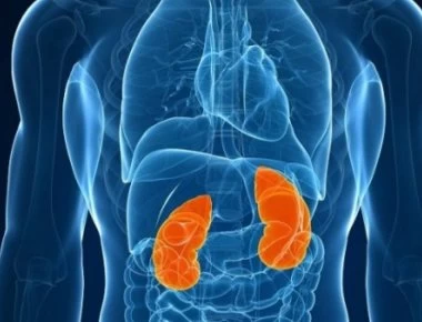 Νεφρική ανεπάρκεια: Αυτά είναι τα επικίνδυνα σημάδια